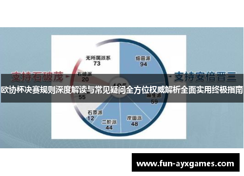 欧协杯决赛规则深度解读与常见疑问全方位权威解析全面实用终极指南