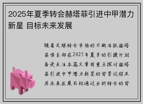 2025年夏季转会赫塔菲引进中甲潜力新星 目标未来发展